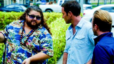 Hawaii Five-0 4x3