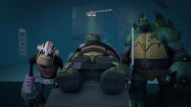 Las Tortugas Ninja 3x16