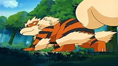 Pokémon 8x47
