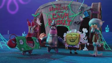 Bob Esponja 11x7