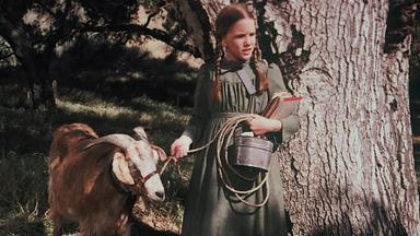 La familia Ingalls 3x8