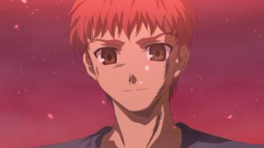 Fate/stay night 1x24