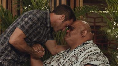 Hawaii Five-0 8x4