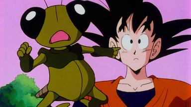Dragon Ball Z 1x20