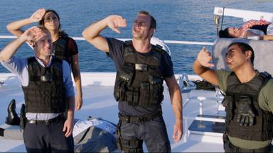 Hawaii Five-0 8x9