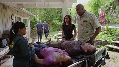 Hawaii Five-0 8x25