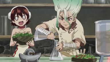Dr. Stone 3x5