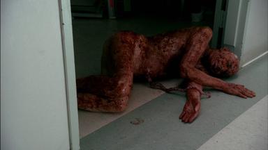 Fringe 1x2