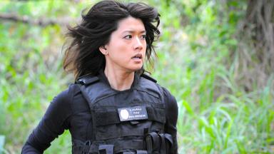 Hawaii Five-0 6x21