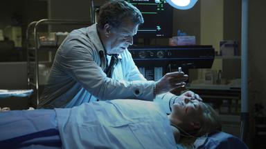 Fringe 2x1
