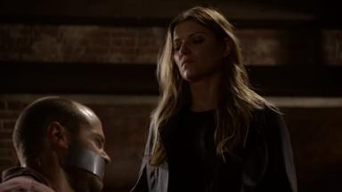 Banshee 4x3