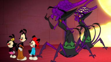 Animaniacs 2x34