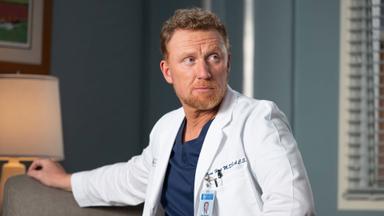 Anatomía según Grey 22x16