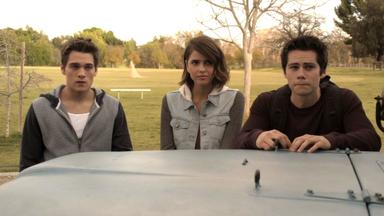 Lobo Adolescente 5x3