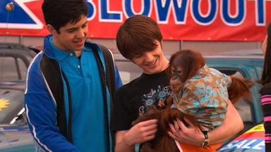 Drake & Josh 4x9
