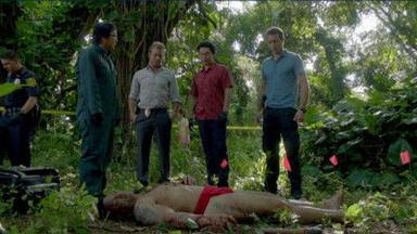 Hawaii Five-0 2x17