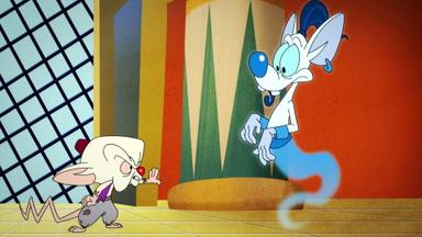 Animaniacs 1x38
