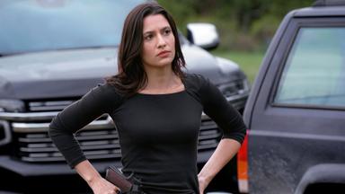 Walker 4x10