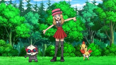 Pokémon 18x1