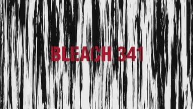 Bleach 1x341