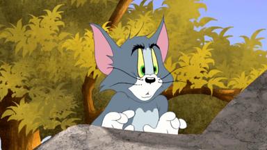 Las aventuras de Tom y Jerry 2x12