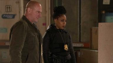 La ley y el orden: crimen organizado 2x18