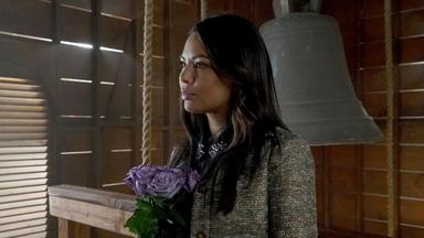 Lindas Mentirosas 7x19