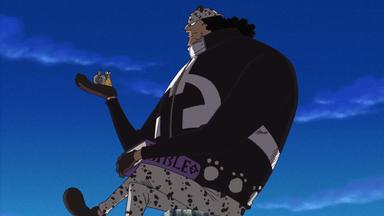 One Piece 10x375