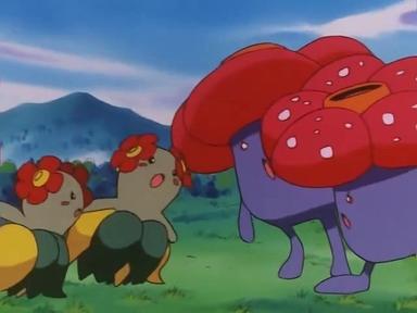 Pokémon 5x30