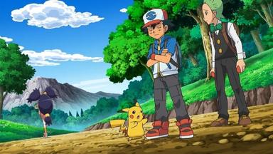 Pokémon 16x34