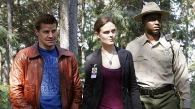 Bones 2x4