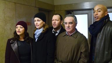 Códigos de familia 5x15