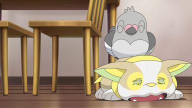 Pokémon 23x29