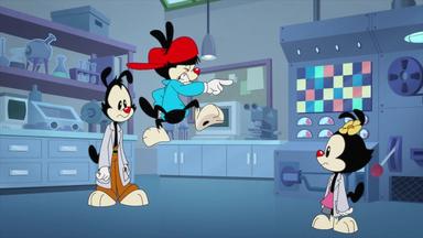 Animaniacs 2x29