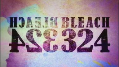 Bleach 1x324
