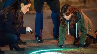 Elementary 3x8