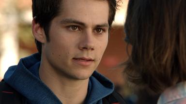 Lobo Adolescente 5x2