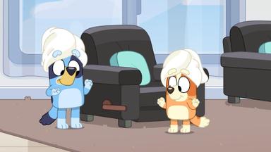 Bluey 3x40