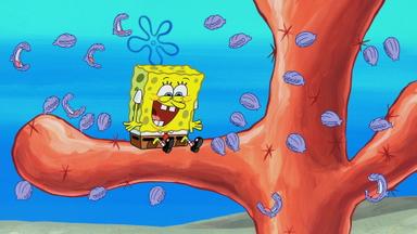 Bob Esponja 11x2