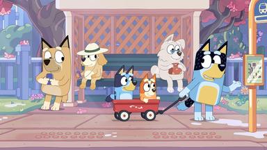 Bluey 1x24