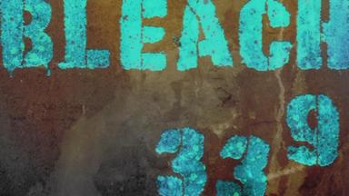 Bleach 1x339