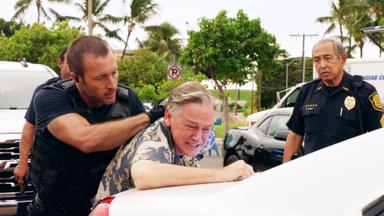 Hawaii Five-0 8x13