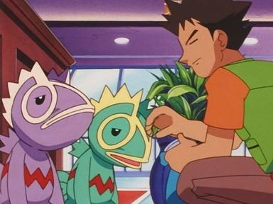 Pokémon 4x48