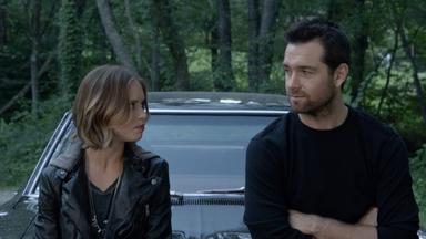 Banshee 4x8