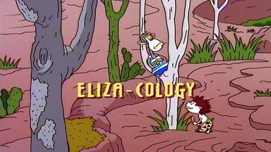 Los Thornberrys 1x13