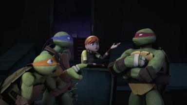 Las Tortugas Ninja 3x22