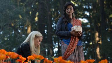 Grimm 3x1