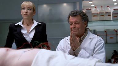 Fringe 3x4
