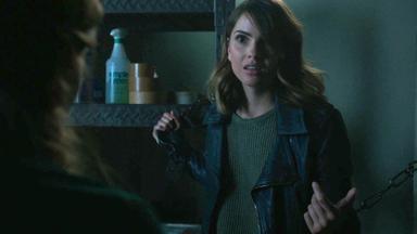 Lobo Adolescente 6x2