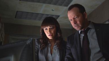 Códigos de familia 5x14